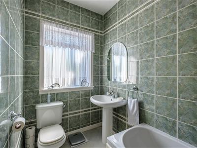 Picture 15